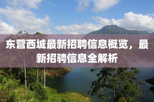 东营西城最新招聘信息概览，最新招骋信息全解析