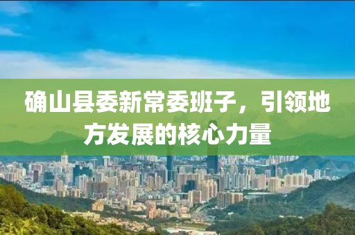 确山县委新常委班子，引领地方发展的核心力量