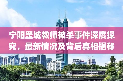 宁阳罡城教师被杀事件深度探究，最新情况及背后真相揭秘