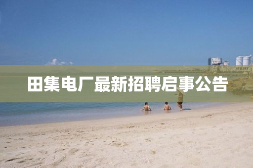 田集电厂最新招聘启事公告