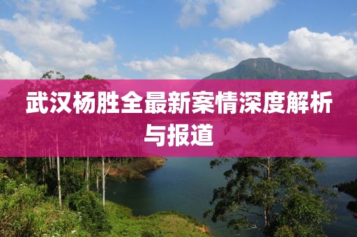 武汉杨胜全最新案情深度解析与报道
