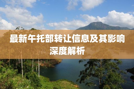 最新午托部转让信息及其影响深度解析