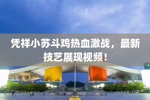 凭祥小苏斗鸡热血激战，最新技艺展现视频！