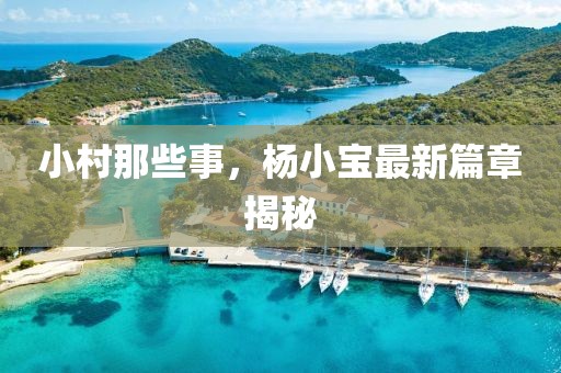 小村那些事，杨小宝最新篇章揭秘