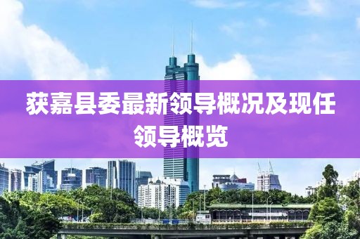 获嘉县委最新领导概况及现任领导概览