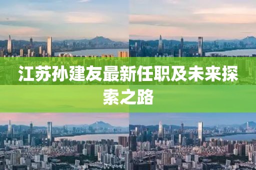 江苏孙建友最新任职及未来探索之路
