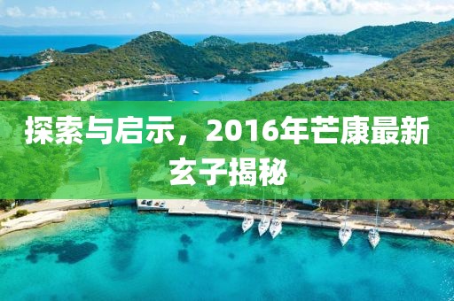 探索与启示，2016年芒康最新玄子揭秘