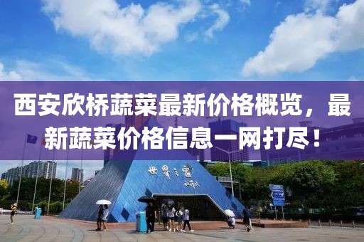 西安欣桥蔬菜最新价格概览，最新蔬菜价格信息一网打尽！