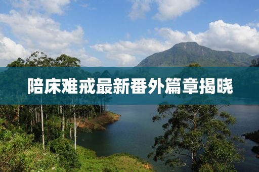 陪床难戒最新番外篇章揭晓