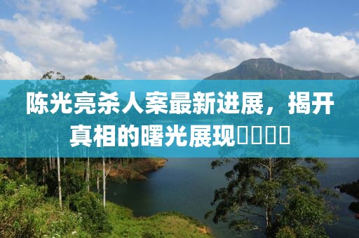 陈光亮杀人案最新进展，揭开真相的曙光展现​​​​