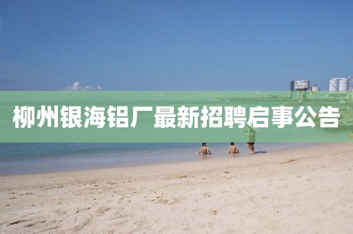 柳州银海铝厂最新招聘启事公告