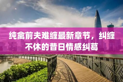 纯禽前夫难缠最新章节，纠缠不休的昔日情感纠葛