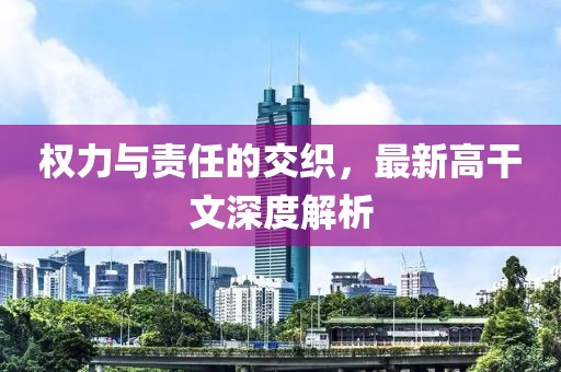 权力与责任的交织，最新高干文深度解析
