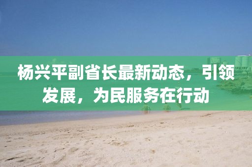 杨兴平副省长最新动态，引领发展，为民服务在行动