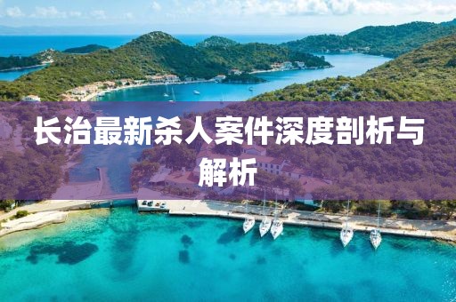 长治最新杀人案件深度剖析与解析
