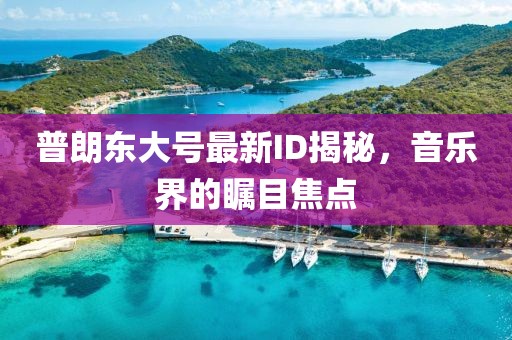 普朗东大号最新ID揭秘，音乐界的瞩目焦点
