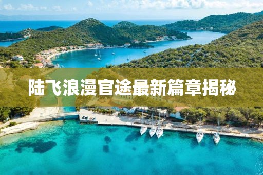 陆飞浪漫官途最新篇章揭秘