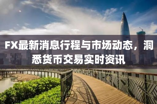 FX最新消息行程与市场动态，洞悉货币交易实时资讯