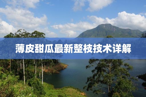 薄皮甜瓜最新整枝技术详解