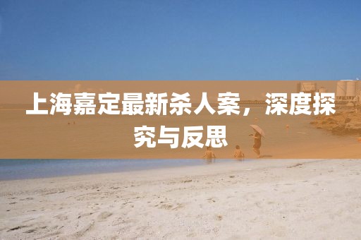 上海嘉定最新杀人案，深度探究与反思