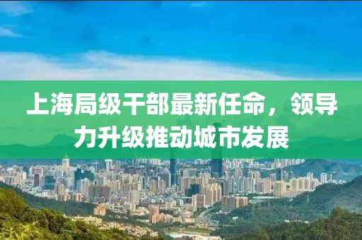 上海局级干部最新任命，领导力升级推动城市发展
