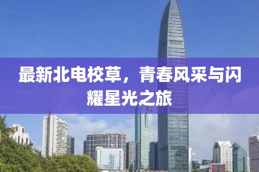 最新北电校草，青春风采与闪耀星光之旅