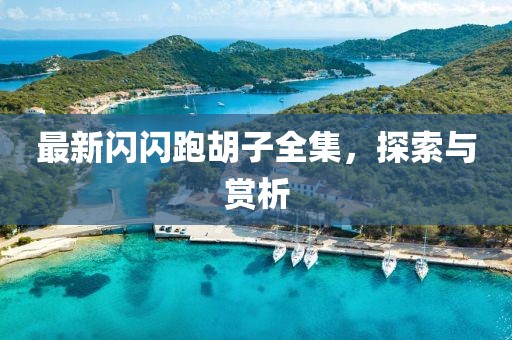 最新闪闪跑胡子全集，探索与赏析