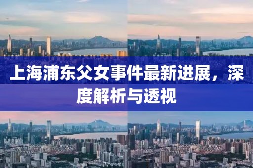 上海浦东父女事件最新进展，深度解析与透视