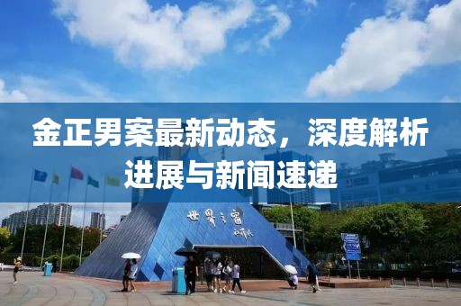 金正男案最新动态，深度解析进展与新闻速递