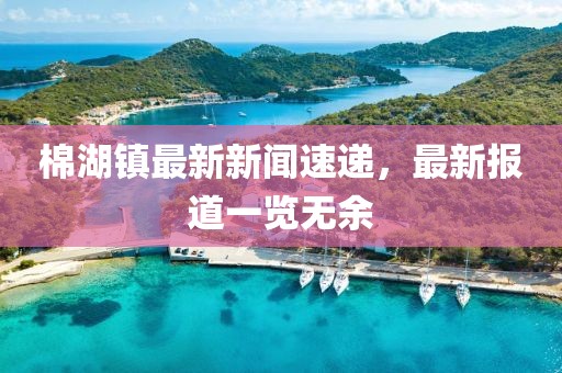 棉湖镇最新新闻速递，最新报道一览无余