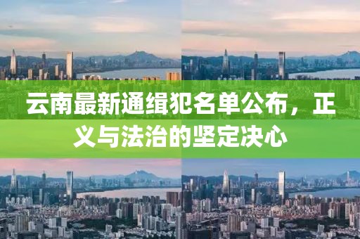云南最新通缉犯名单公布，正义与法治的坚定决心