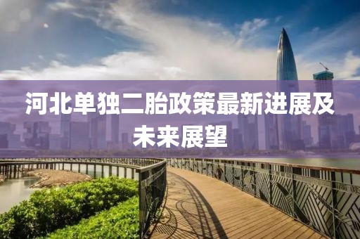 河北单独二胎政策最新进展及未来展望