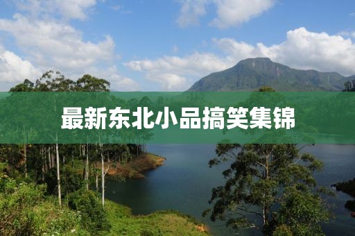 最新东北小品搞笑集锦