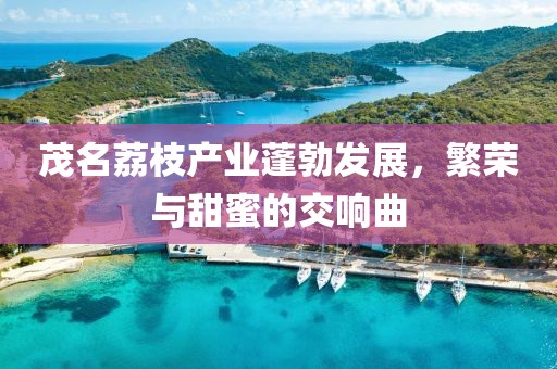 2025年4月4日 第8页