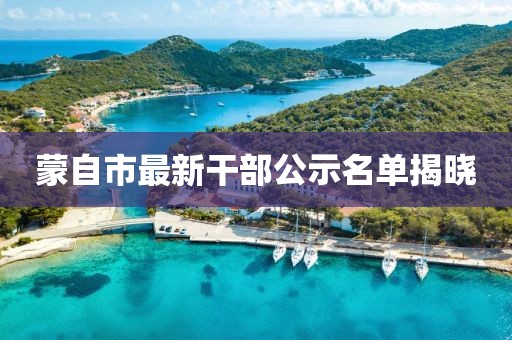 蒙自市最新干部公示名单揭晓