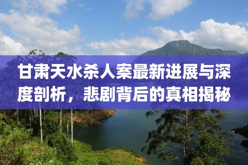 甘肃天水杀人案最新进展与深度剖析，悲剧背后的真相揭秘