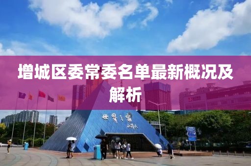 增城区委常委名单最新概况及解析