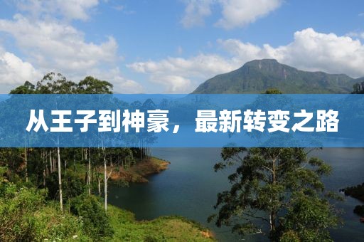从王子到神豪，最新转变之路