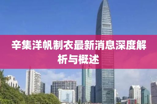 辛集洋帆制衣最新消息深度解析与概述