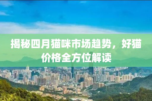 揭秘四月猫咪市场趋势，好猫价格全方位解读