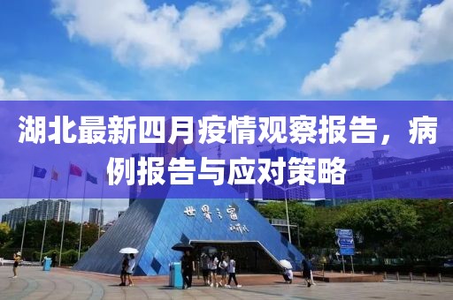 湖北最新四月疫情观察报告，病例报告与应对策略