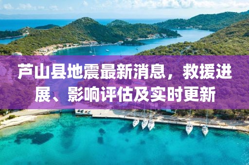 芦山县地震最新消息，救援进展、影响评估及实时更新