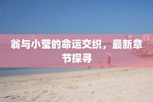 翁与小莹的命运交织，最新章节探寻