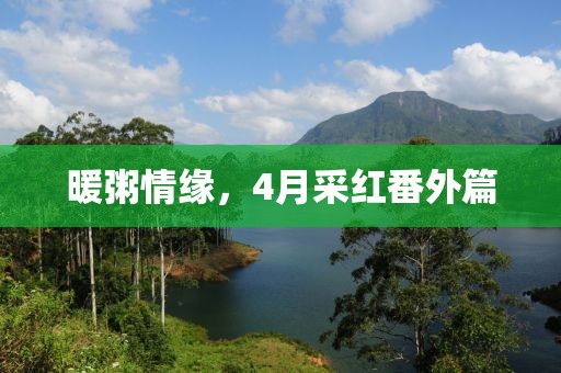 暖粥情缘，4月采红番外篇