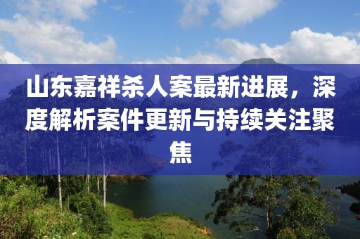 山东嘉祥杀人案最新进展，深度解析案件更新与持续关注聚焦