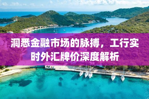 洞悉金融市场的脉搏，工行实时外汇牌价深度解析