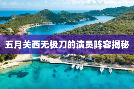 五月关西无极刀的演员阵容揭秘