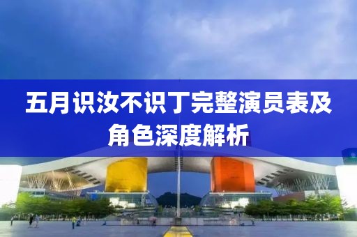五月识汝不识丁完整演员表及角色深度解析