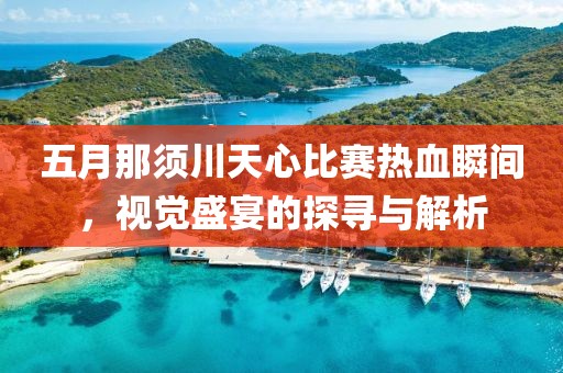 五月那须川天心比赛热血瞬间，视觉盛宴的探寻与解析