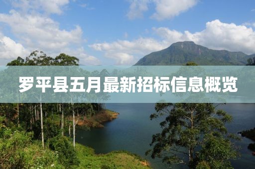 罗平县五月最新招标信息概览